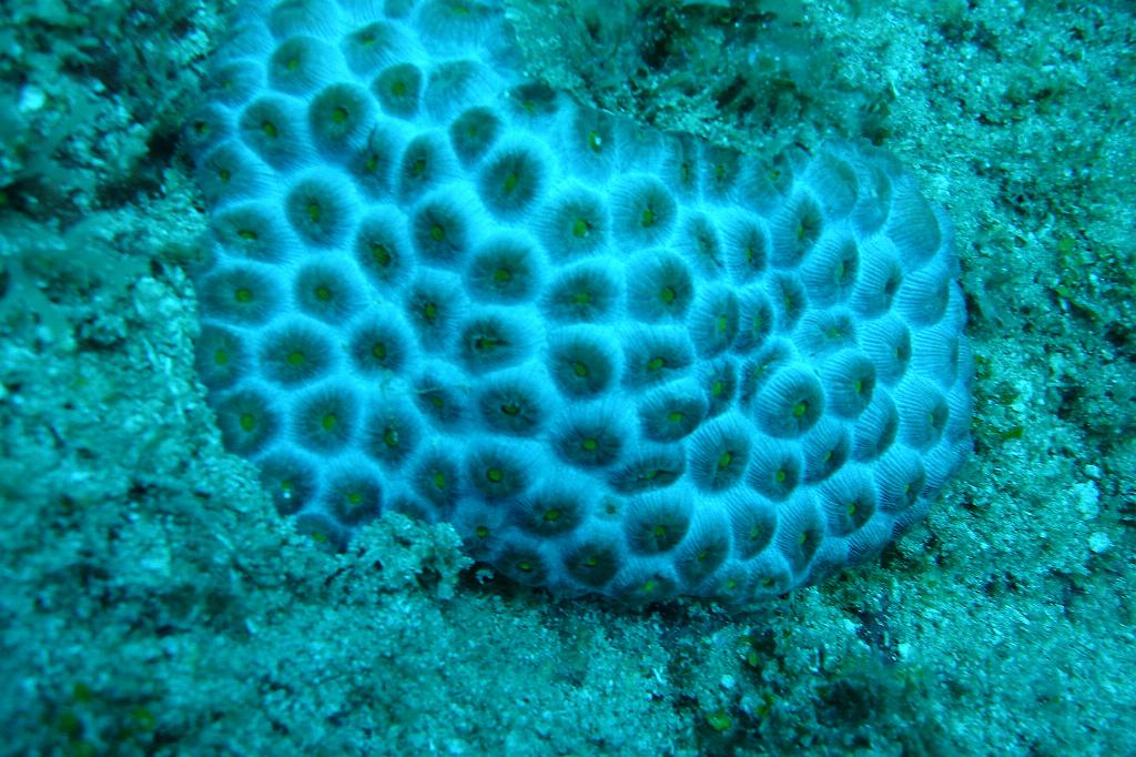 2008-05-10 14-33-55.JPG